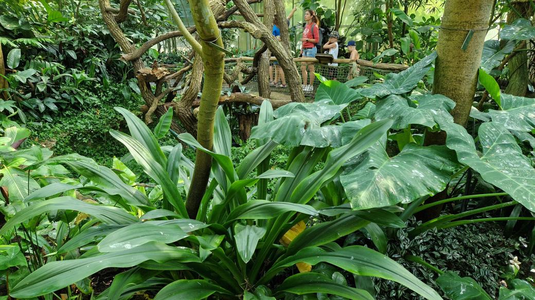 Zoo Zlín, hala Yucatán