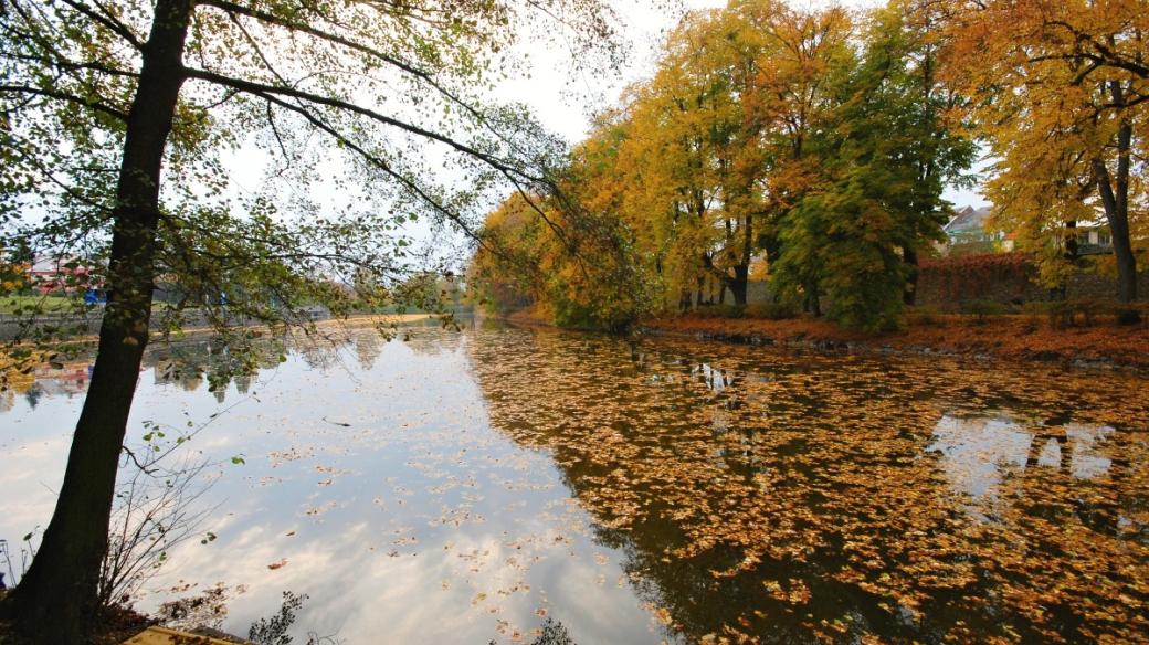 Podzim na Synském rybníce