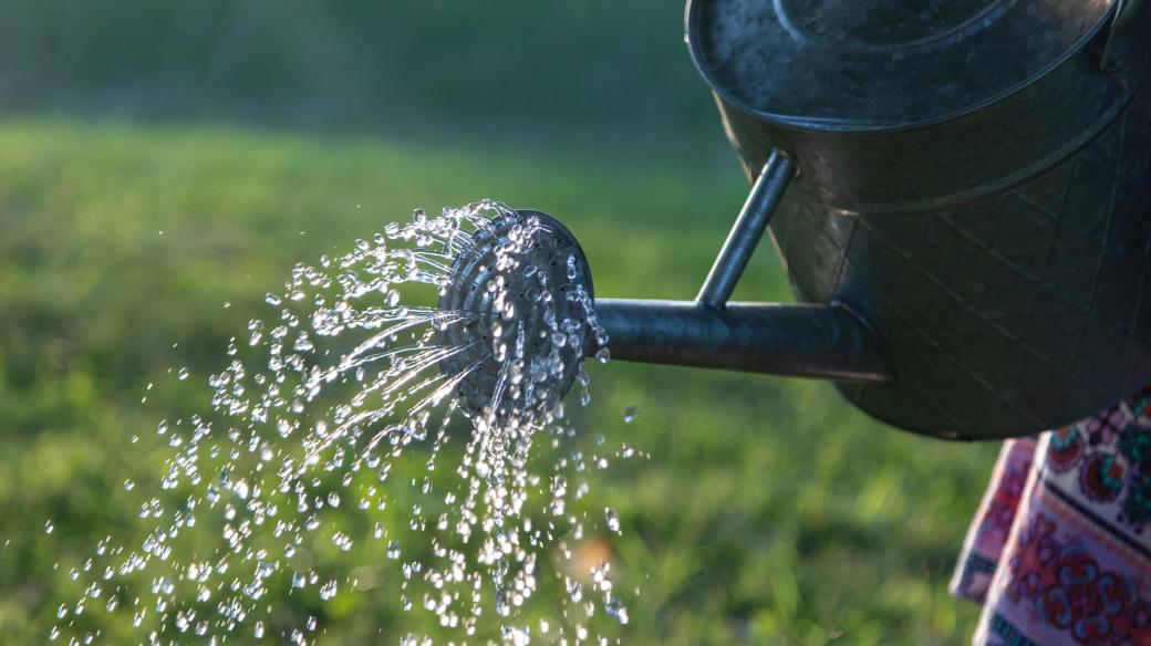 zalévání voda zemědělství vodní zdroj sladká voda