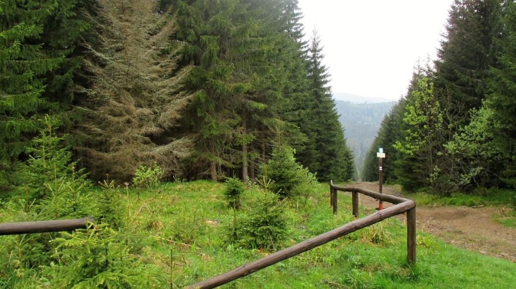 Tudy vede přímá a strmá cesta rovnou k Černému jezeru