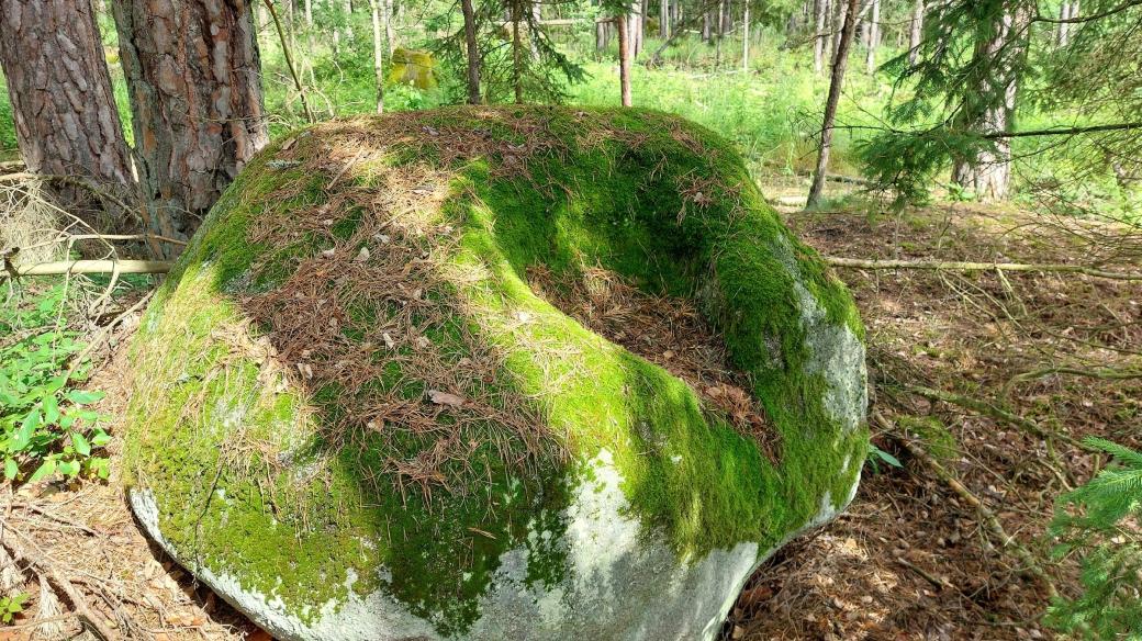 Přírodní kolomazný kámen