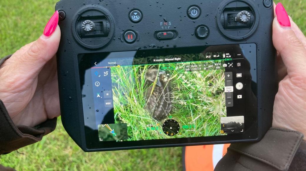 Srnčata ukrytá ve vysoké trávě hledají pomocí dronu