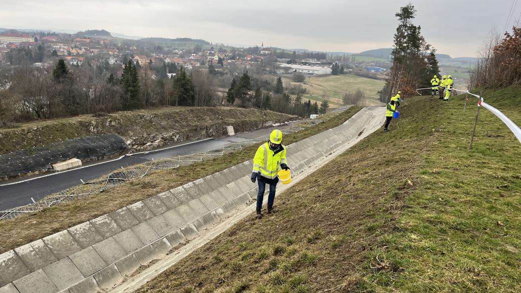 Výsev divokých luk podél nově vznikající dálnice D4