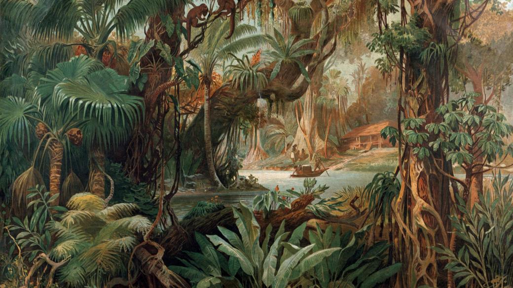 Jihoamerický prales na dobové ilustraci