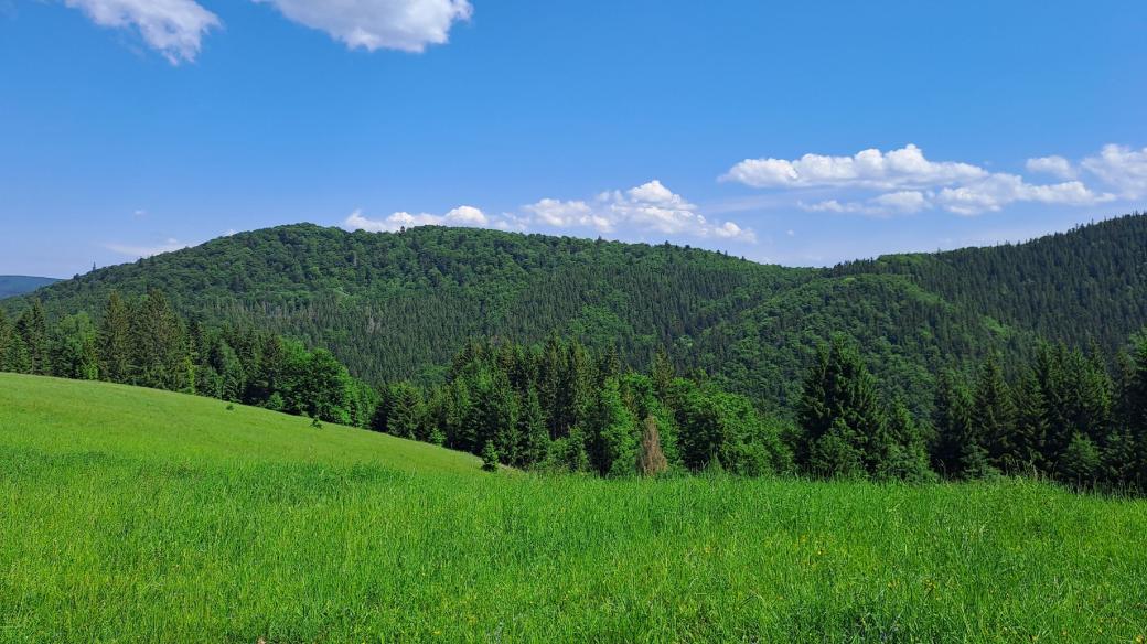 Jeden z možných výkladů názvu Mionší poukazuje na to, že zde byl menší odbyt dřeva. Další označuje menší velikost hory