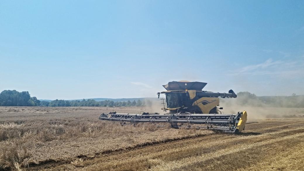 Obrovský kombajn pomáhá s žněmi na Hané