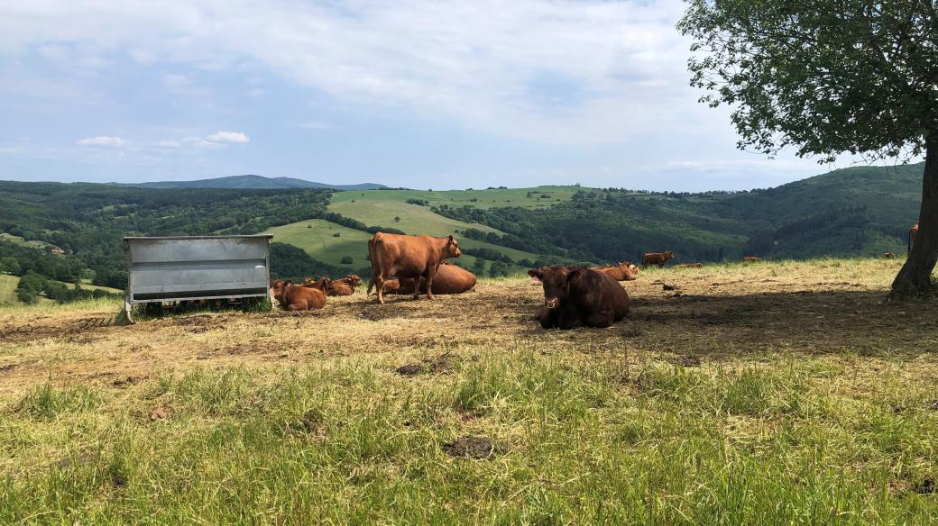 Oblast Žítková, Bílé Karpaty