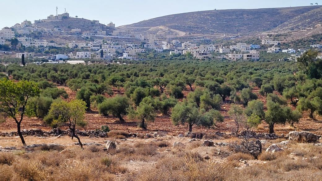 Od teroristického útoku Hamásu v okolí Gazy a následného vypuknutí války zabili vojáci nebo osadníci na Západním břehu Jordánu desítky Palestinců