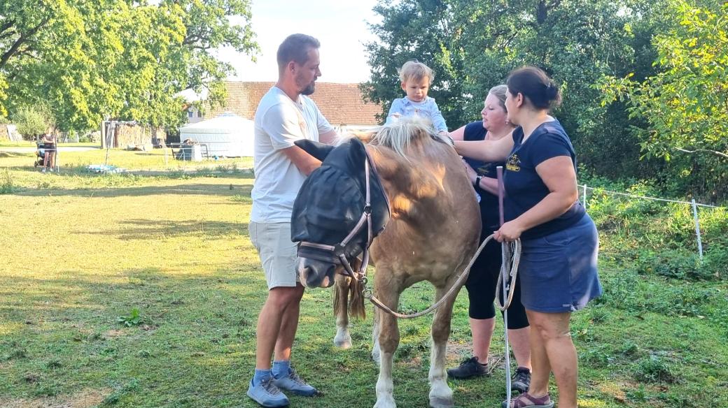 Centrum zooterapie buduje v Domaníně u Třeboně sdružení Hafík