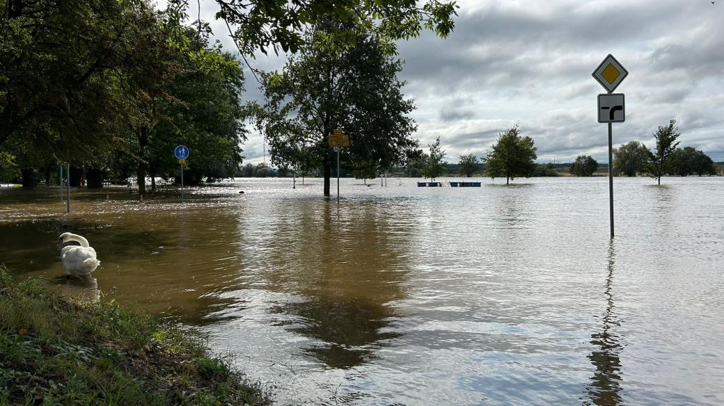 Křešice, rozvodněné Labe 16. září 2024