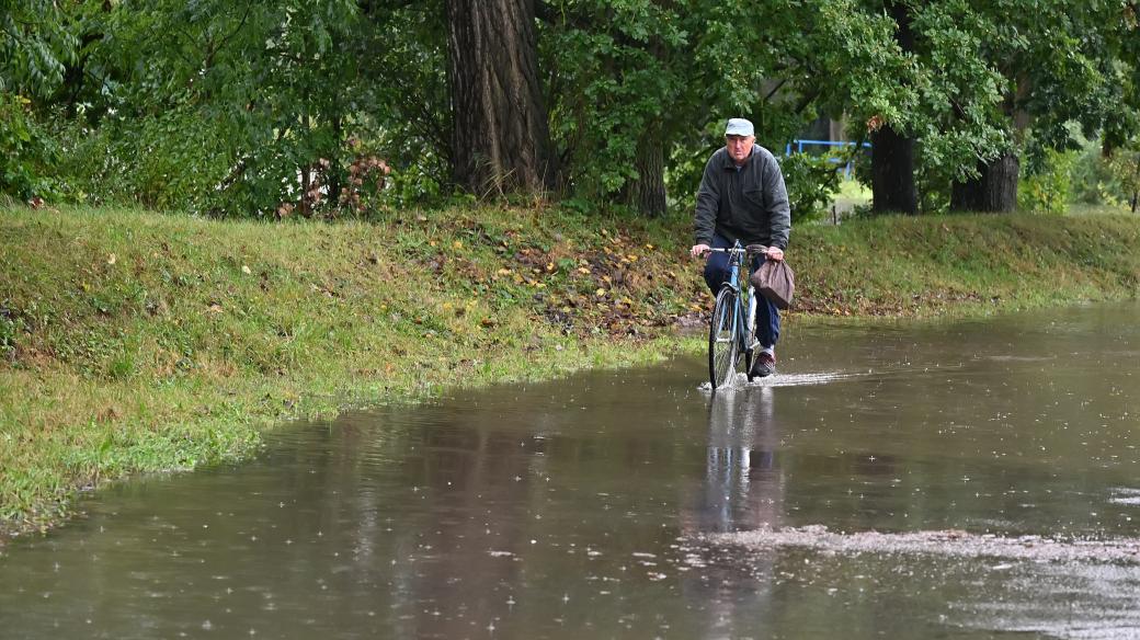 Rozvodněná Lužnice ve Veselí nad Lužnicí