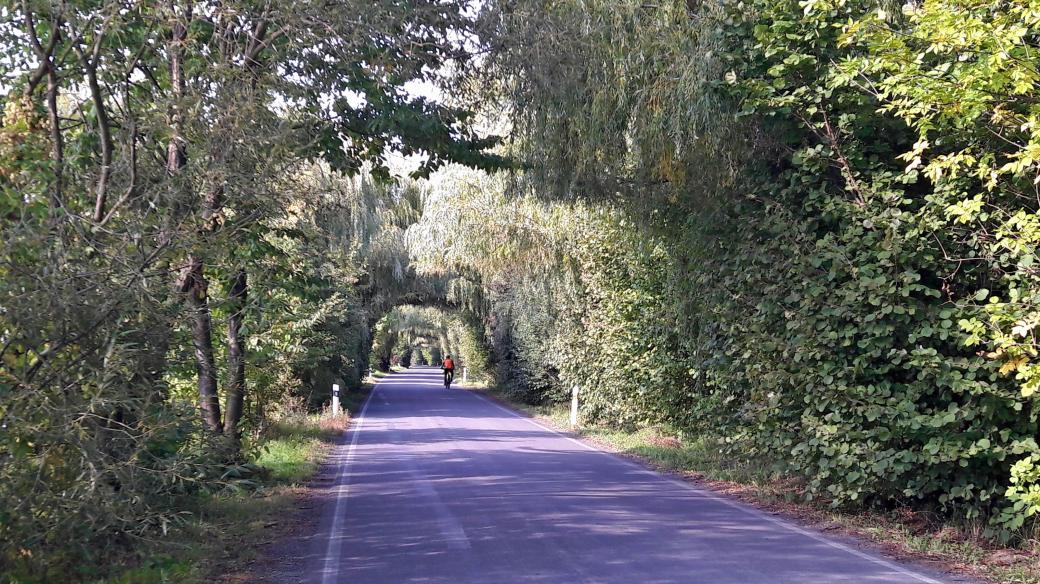 Silnice spojující Jistebník a Košatku vede mezi rybníky Bezruč a Křivý a před povodněmi působila romanticky