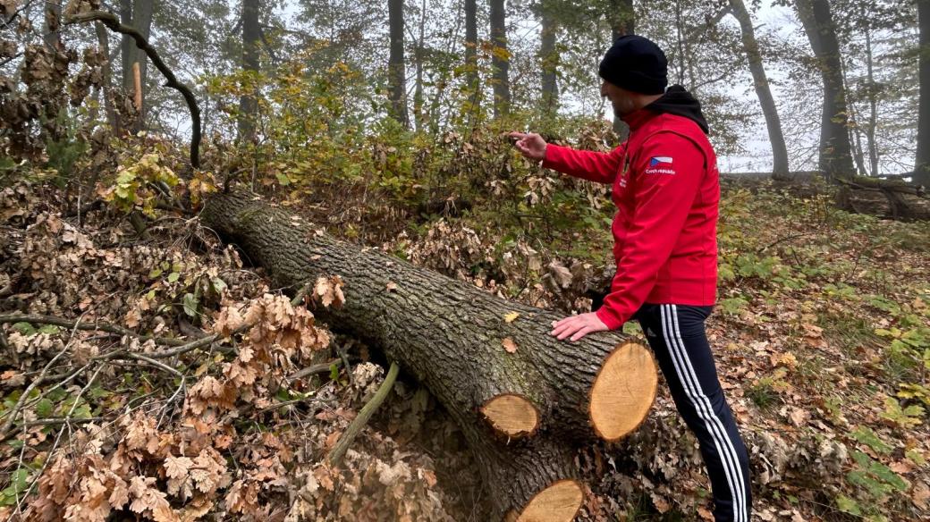 Vědcům v Hranické propasti dělají problémy popadané stromy