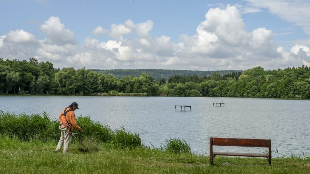 Údržba břehů rybníku Rosnička u Svitav