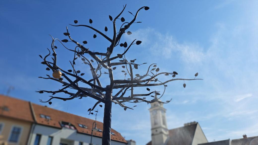 Mlžný strom, Uherský Brod, Masarykovo náměstí