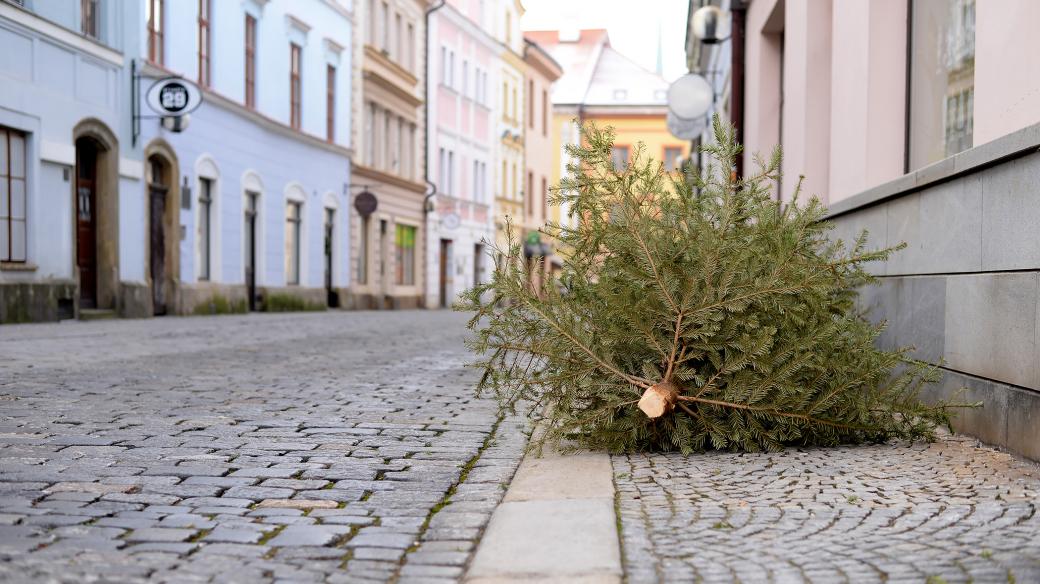 Dosloužil. Po třech králích se v ulicích objevují vyhozené vánoční stromky