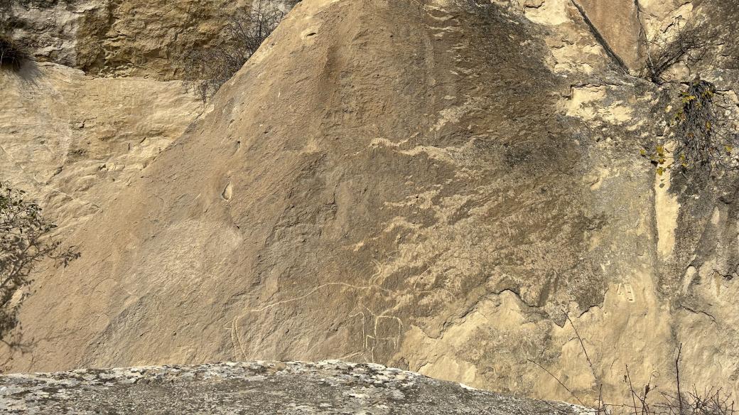 Skalním rytinám z dávných dob se říká petroglyfy