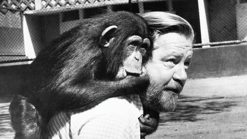 Gerald Durrell ve své zoo v roce 1972