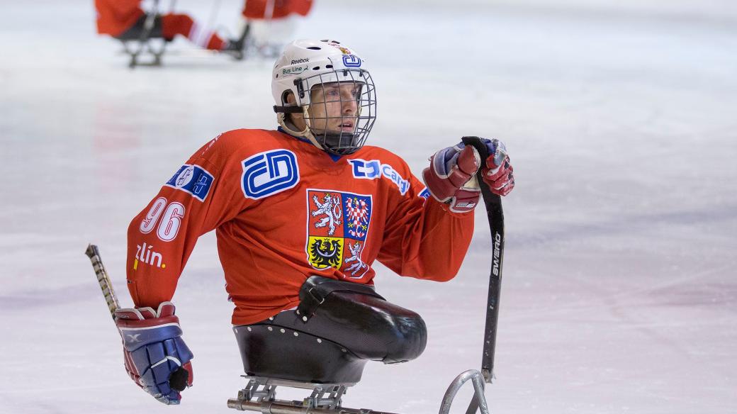 Zdeněk Krupička při zápase se Švédskem v rámci BALTACI CUP 2013