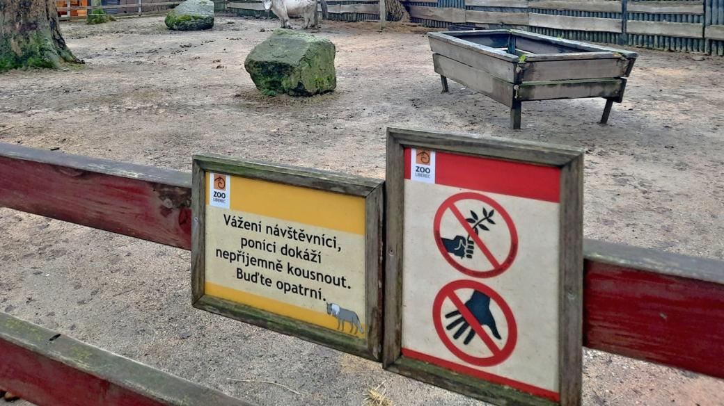 Návštěvníci liberecké zoo nerespektují zákaz krmení zvířat