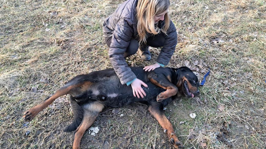 Nano a Hana Doubková, majitelka psího azylu RTW - naše láska, jejich naděje