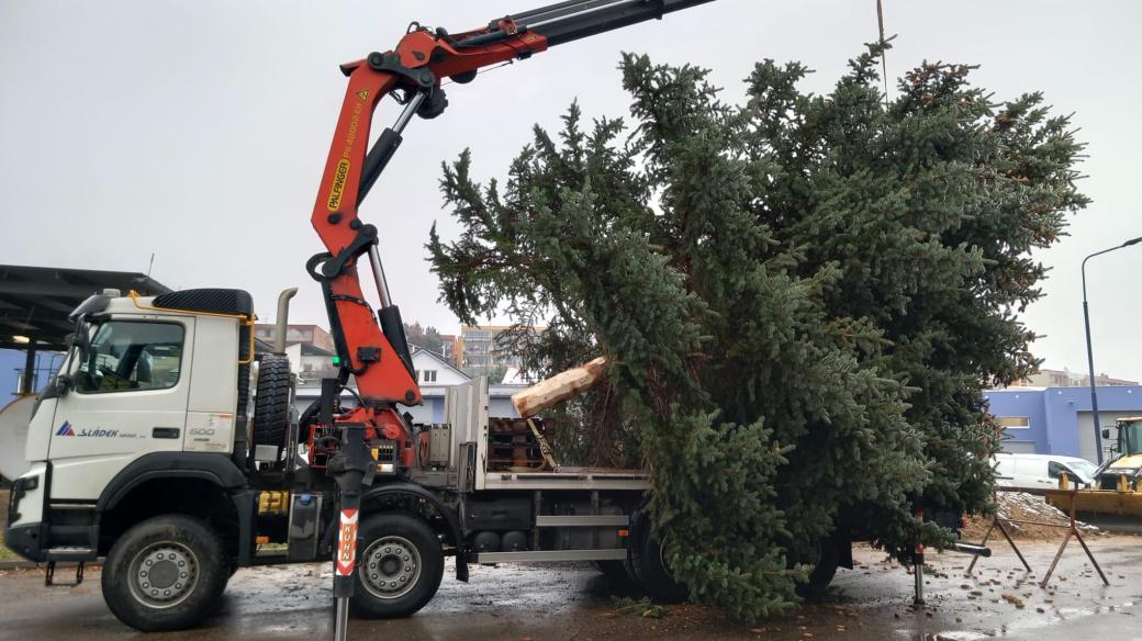 Instalace nového vánočního stromu v Benešově