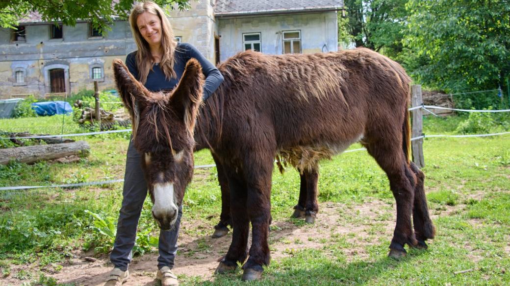 Paní Marie Žižlavská má v Českém ráji oslí farmu