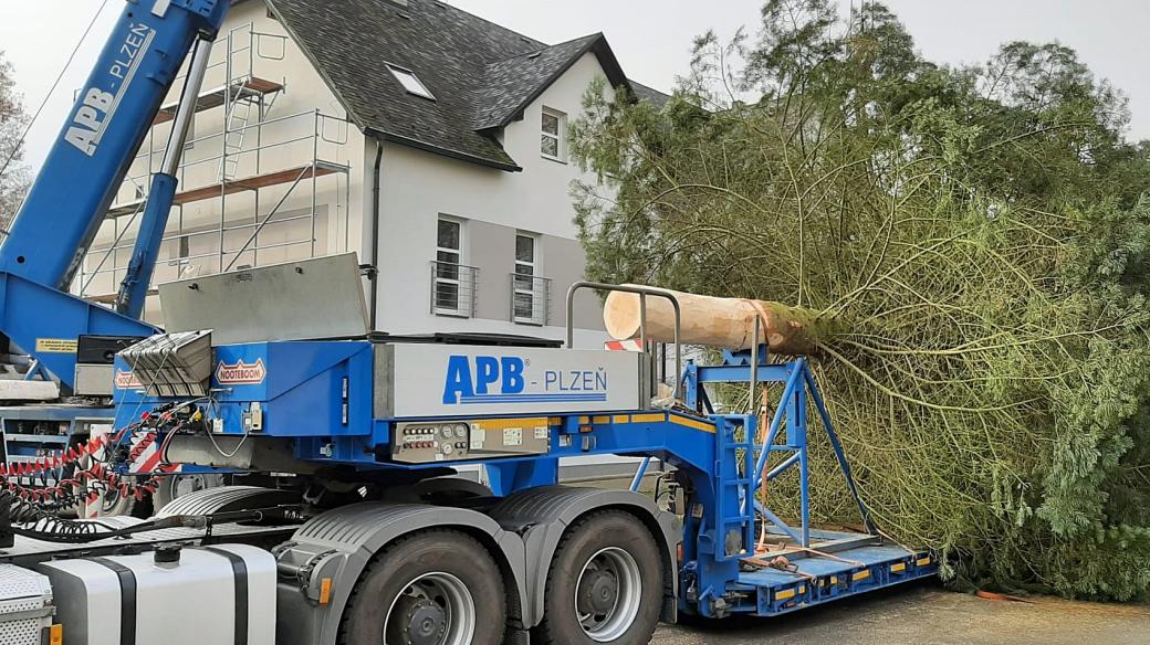 Vánoční strom pro Plzeň