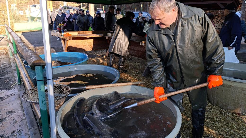 Prodej ryb u Košináře