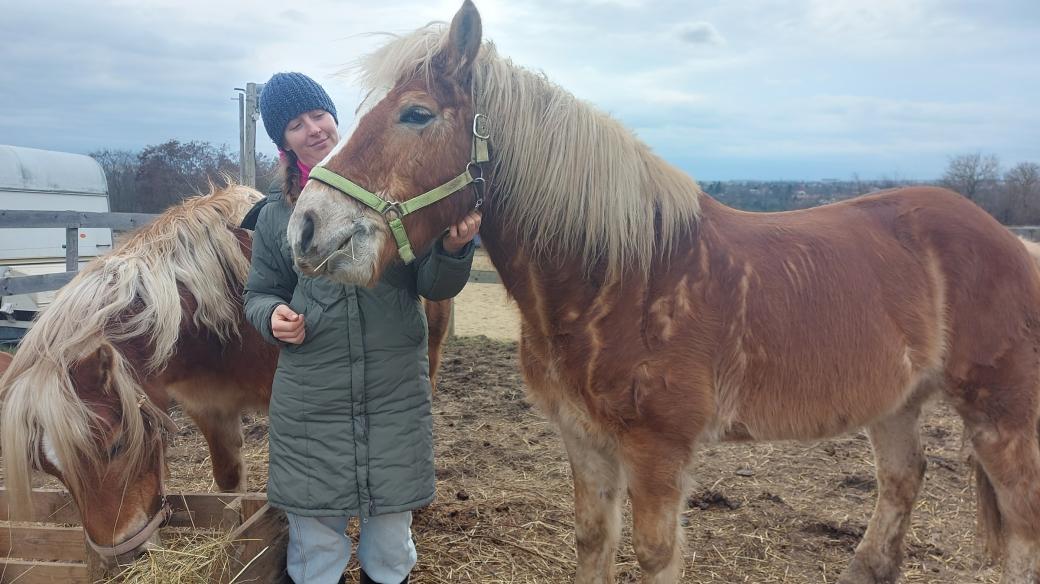 Veronika Válková své koně vybírala velmi pečlivě tak, aby byly vhodní pro jízdy dětí