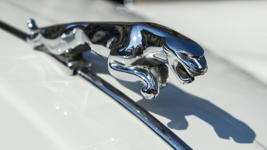 Symbol luxusních automobilů jaguar