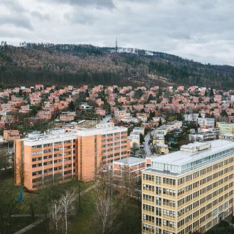 Jižně od Baťova mrakodrapu se rozkládá městská čtvrť Letná, dílo architekta Jana Kotěry, který vypracoval urbanistický plán na stavbu první dělnické kolonie firmy baťa