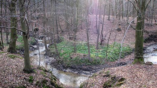 Vysočina s neobvykle tajemným až mystickým charakterem