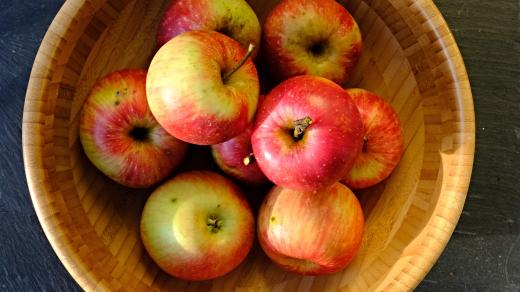 Odkud jablko pochází, se můžeme jenom dohadovat. Faktem je, že lidstvo doprovází, osvěžuje, dodává vitamíny a dobrou náladu už tisíce let.