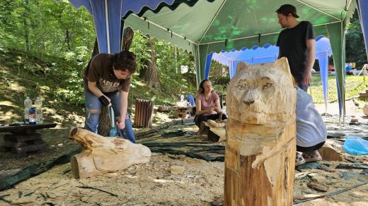 Studenti si zvířata zkusili nejdřív nakreslit, potom vymodelovat z hlíny a nakonec přišlo na řadu dřevo