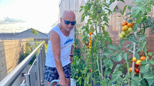 Na koupališti v Bojkovicích pěstují pro návštěvníky vlastní zeleninu