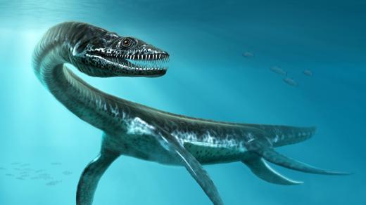 Plesiosaurus, 3D ilustrace