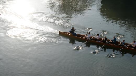 Veslování (ilustr. foto)