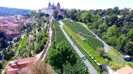 Pohled na Svatováclavskou vinici s areálem Pražského hradu