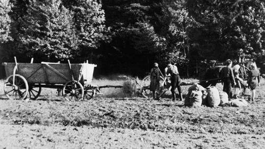 Osídlování československého pohraničí v roce 1947, na snímku sázení brambor