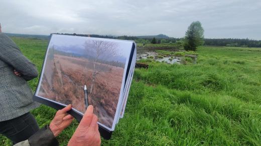 Správa Národního parku Šumava obnovuje potoky a mokřady