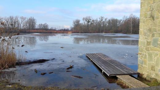 Jezero v karvinském parku Boženy Němcové čeká odbahnění