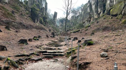 Teplé počasí umožnilo začít dřív s opravami turistických míst v Prachovských skalách v Českém ráji