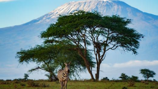 Expedice Z101, Keňa, Národní park Amboseli v podhůří Kilimandžára