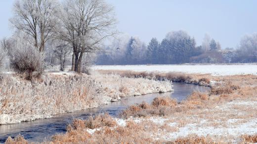 Potok, zima